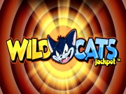 Wild Cats jackpot gokkast